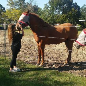 Meet your Posher, Autumn